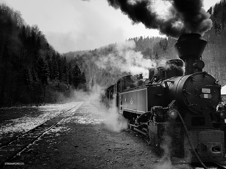 Black and white image of steam train driving through forest on a track